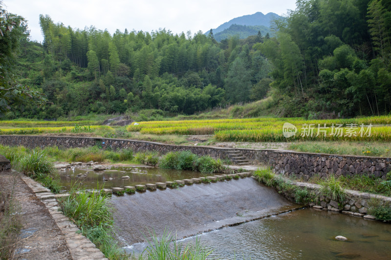 乡村小景丽水