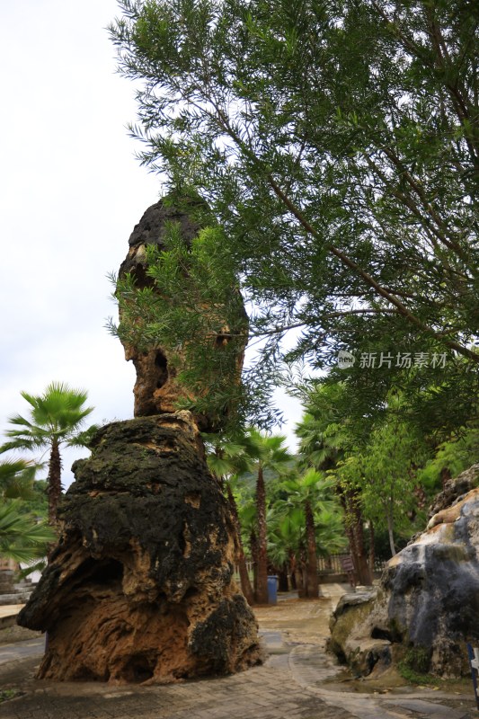 云南保山鸡飞温泉