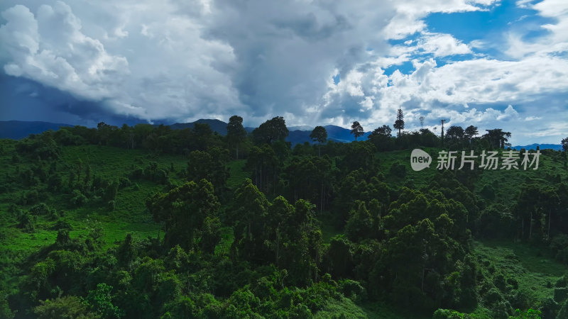 中科院西双版纳热带植物园