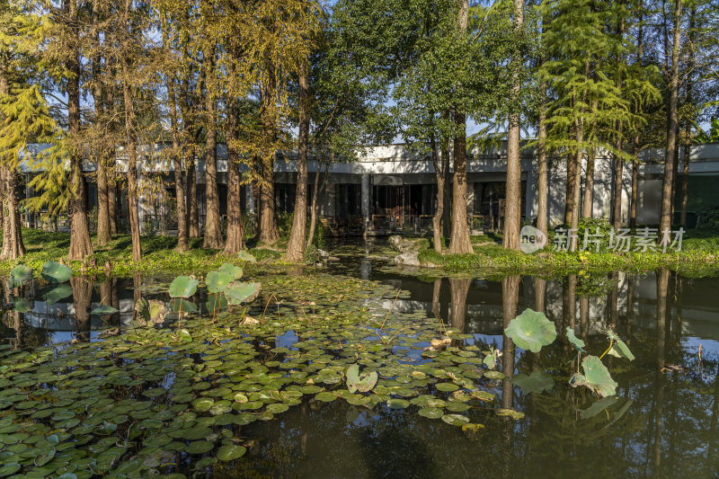 杭州西子湖畔杭州花圃风景