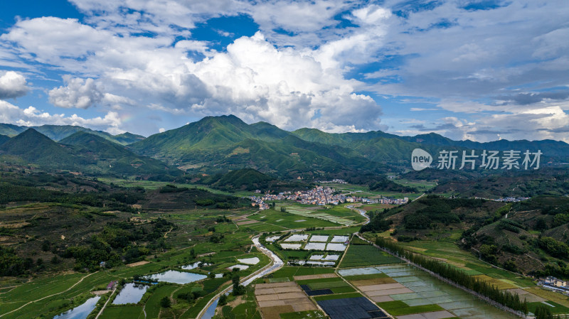 水稻种植基地，大面积的水稻田航拍