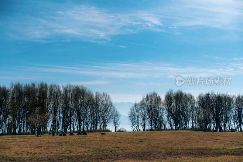 云南旅游大理洱海蒙自弥勒建水元阳梯田景区