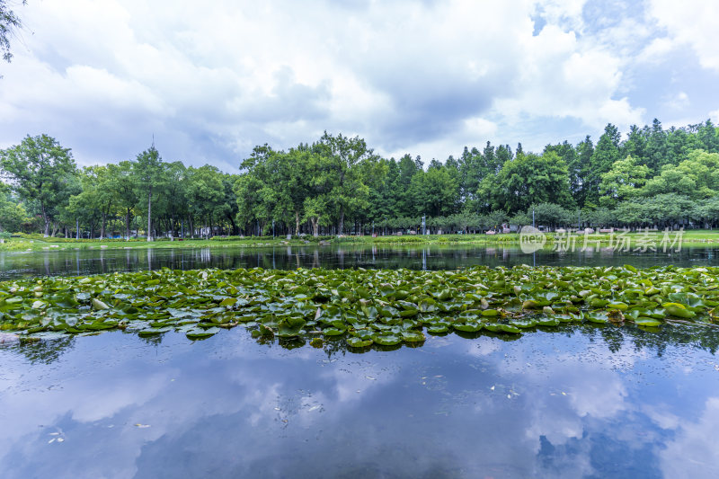 武汉武昌区紫阳公园风景