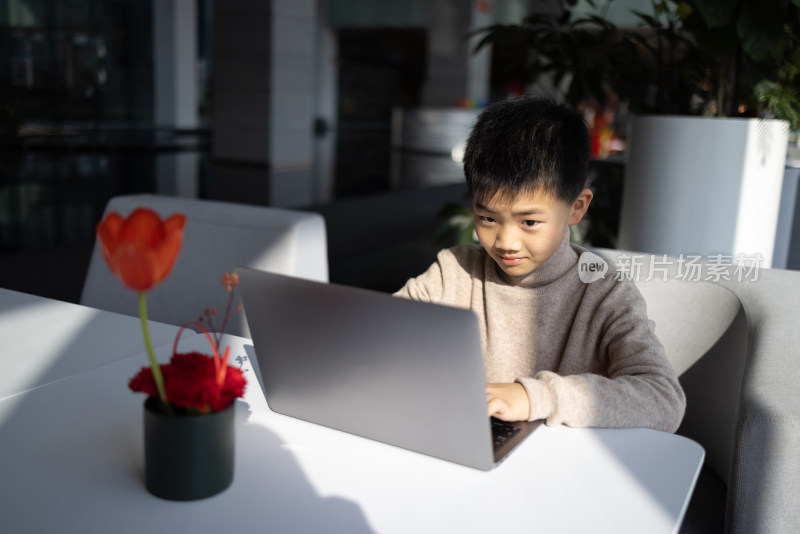 一个正在使用笔记本电脑的中国小男孩