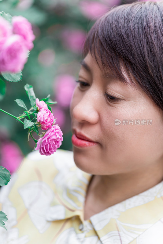 盛开的蔷薇花丛中的东方年轻女性