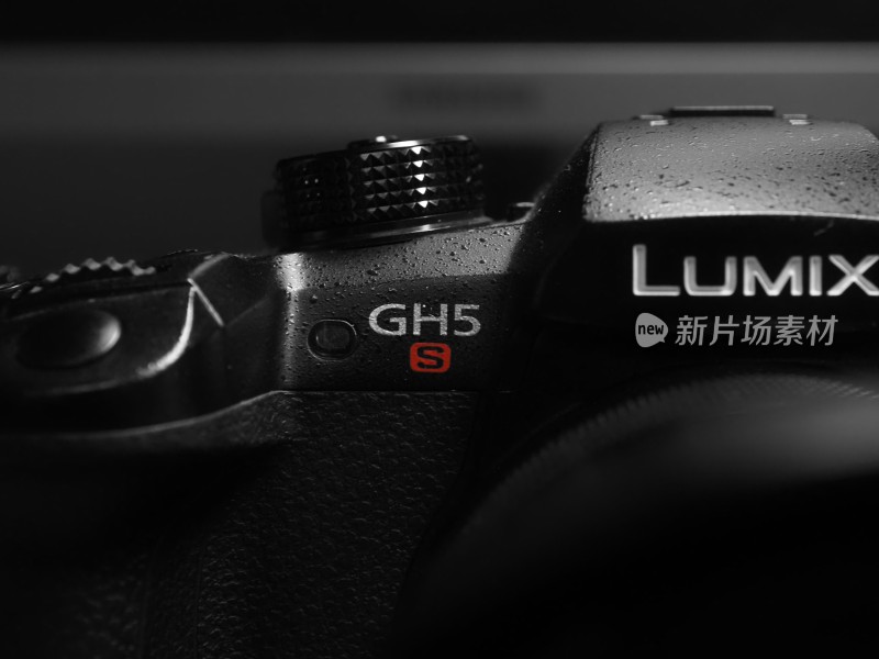 LUMIX GH5s相机微距特写