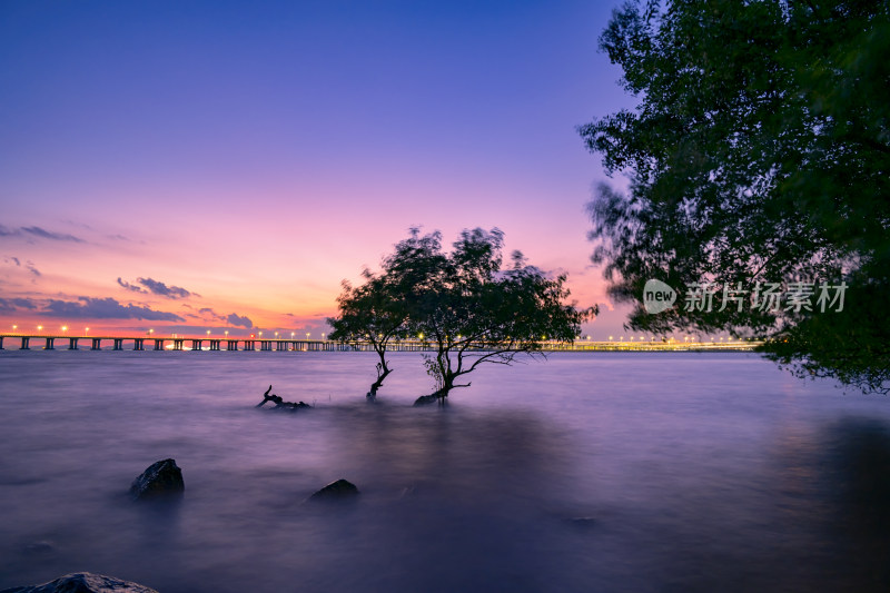 深圳西湾红树林晚霞美景