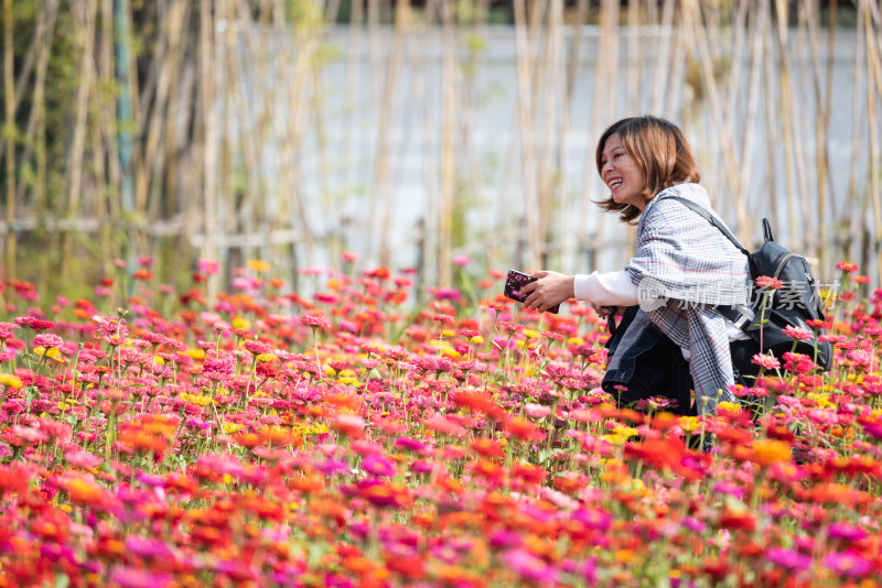 花海中的女人女性人像