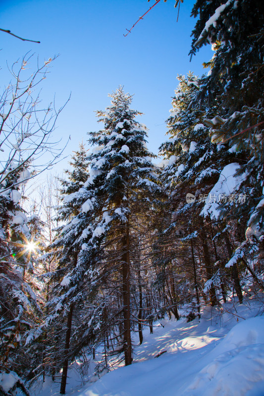 黑龙江 双峰林场 雪乡