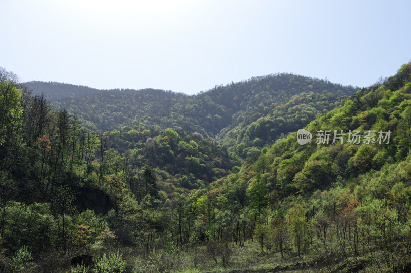 青山绿水自然风景