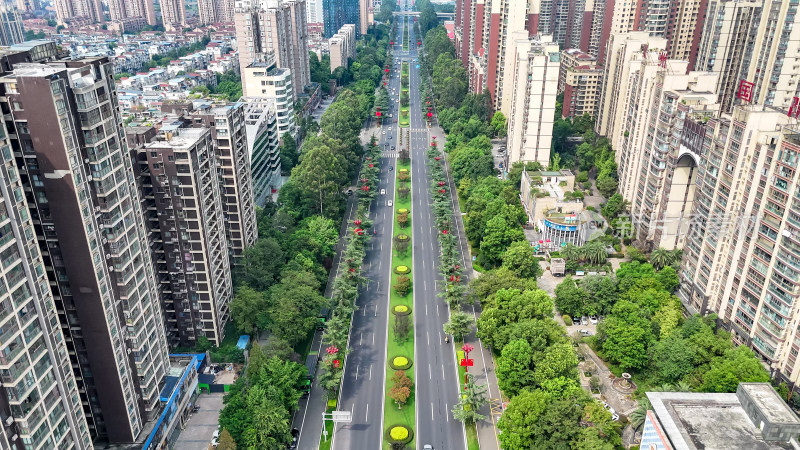 城市绿化植物交通航拍图