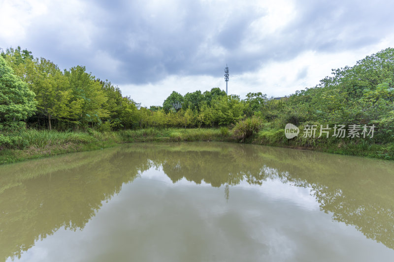 武汉江夏区藏龙岛国家湿地公园风景