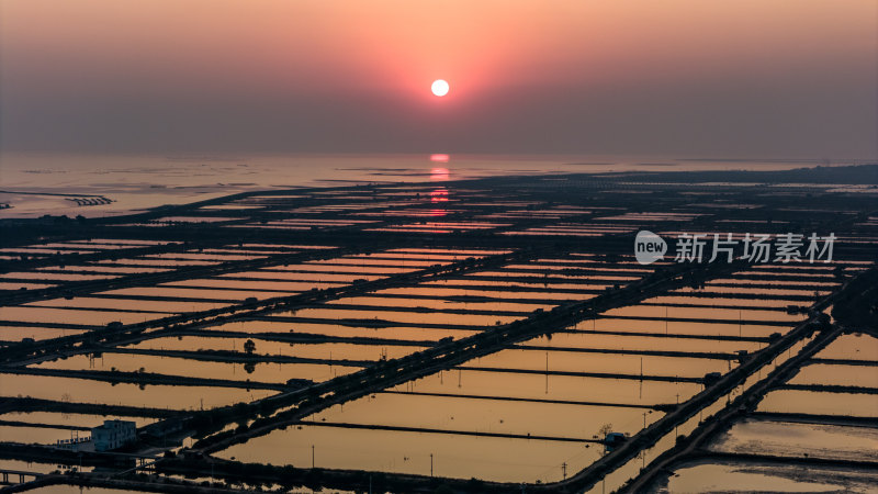 水产养殖：廉江市龙营围万亩虾田