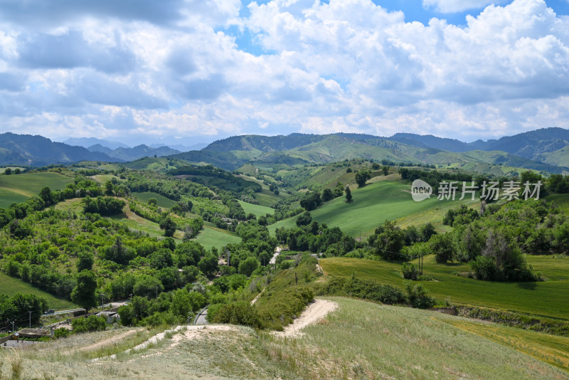 新疆木垒伴山公路 观景台俯瞰山坡麦田