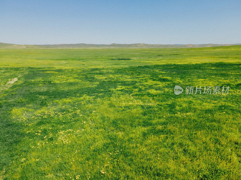 呼伦贝尔大草原