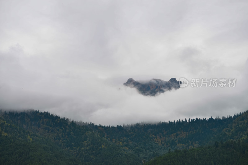 云雾中的森林山峰虎头山