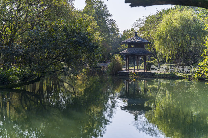 杭州西湖茅家埠江南水乡风景