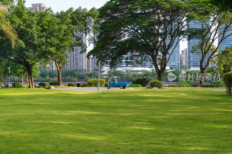 城市公园草坪与高楼景观