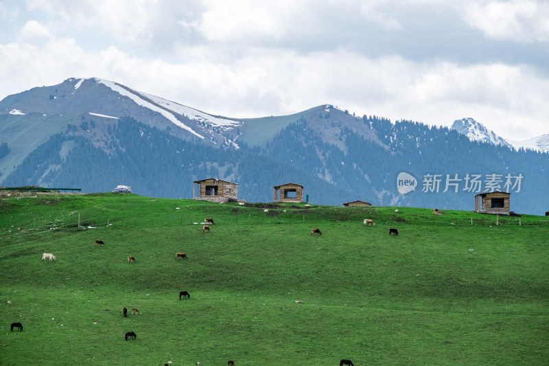 新疆琼库什台雪山下草原上的小木屋