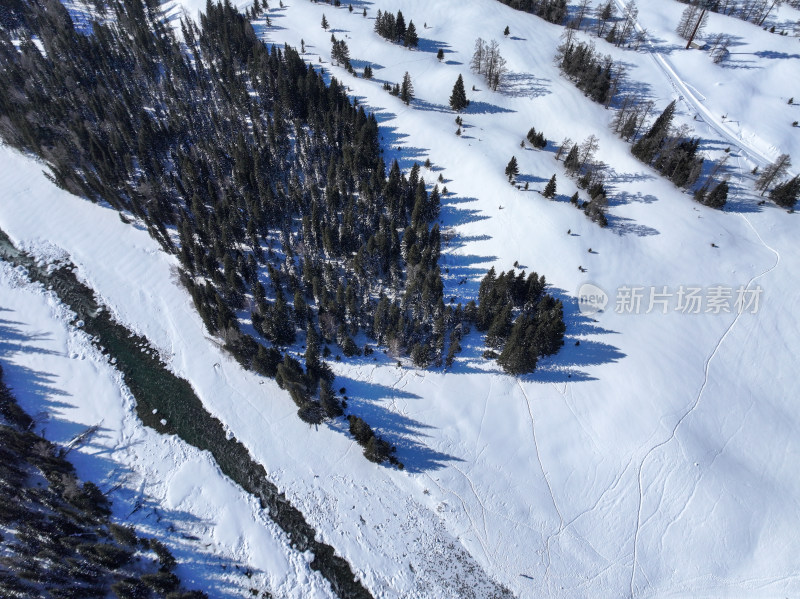 新疆阿勒泰喀纳斯雪景神仙湾晨雾雪山森林