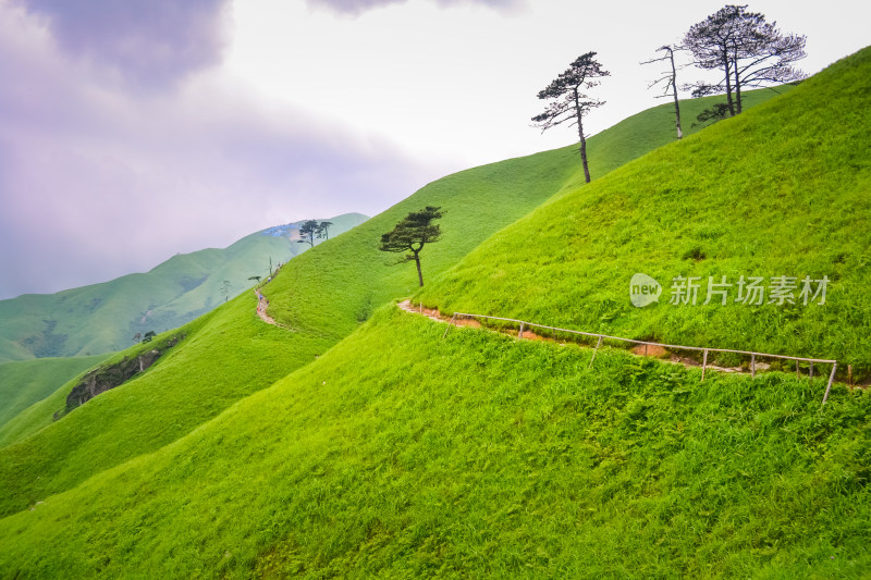 江西武功山高山草甸