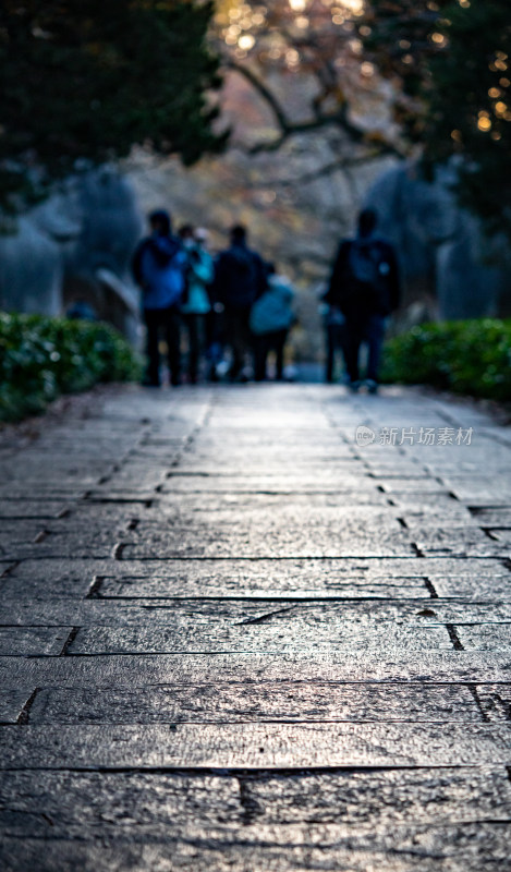 游客参观南京明孝陵石象路神道石像古迹场景