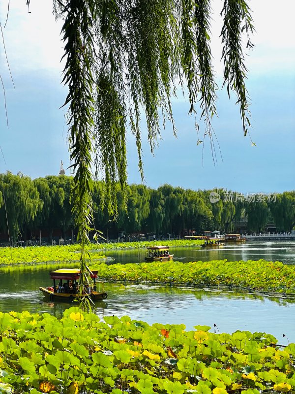 夏季北京东城区北海公园河边