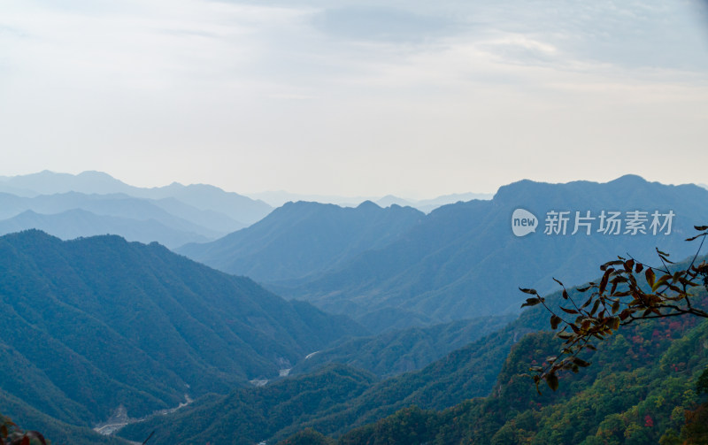 河南省洛阳白云山山谷风景