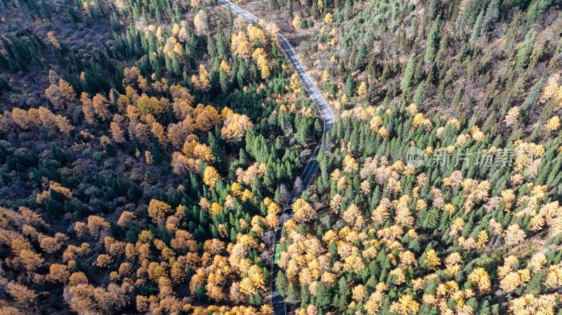 四川四姑娘山秋天的双桥沟景区山谷