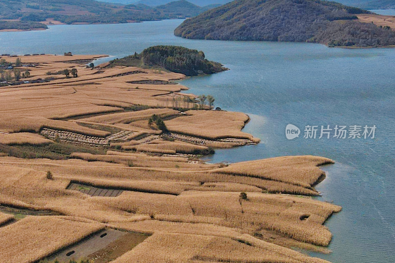 吉林，航拍的松花湖与玉米地