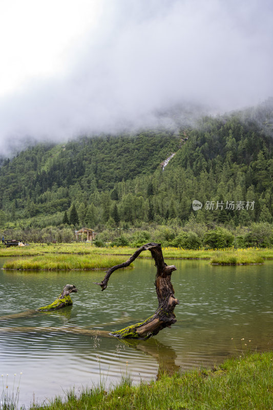 四川四姑娘山双桥沟自然风景