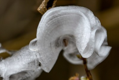 重庆酉阳：冰花