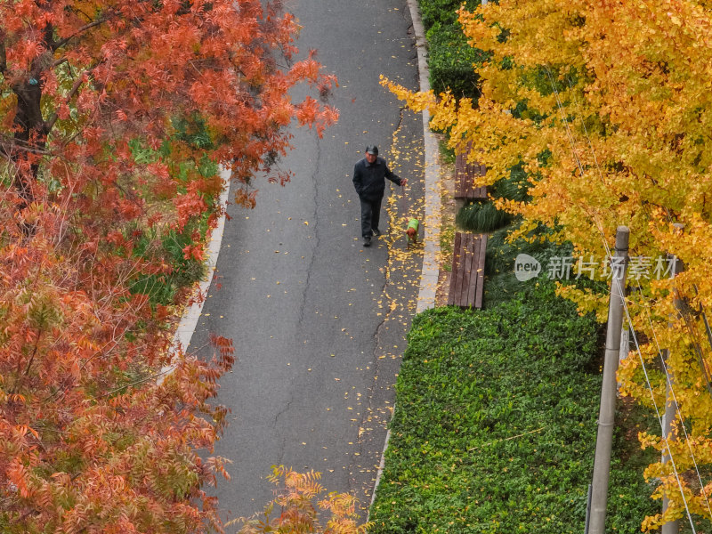 航拍昆山道路上的秋冬景色