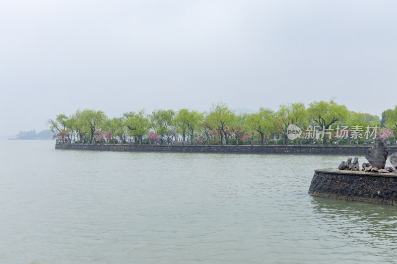 烟雨江南无锡蠡园春色