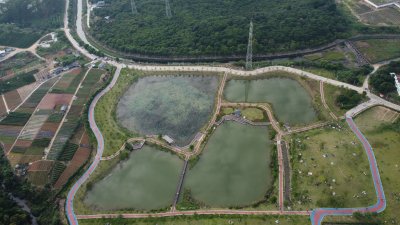 广东东莞：契爷石水库湿地公园