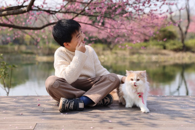 小男孩与宠物猫在梅花树下互动的温馨场景