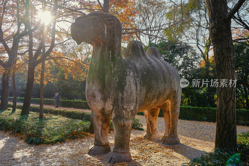 南京中山石像路