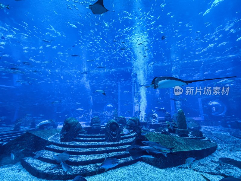 海南省三亚亚特兰蒂斯酒店的水族馆