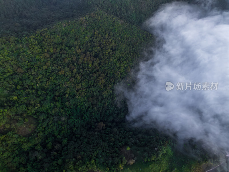 航拍山间云雾中的森林