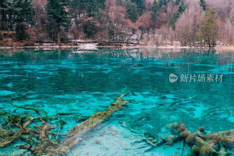 川西九寨沟冬季雪山碧蓝海子唯美