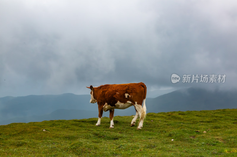 五台山朝圣路上的风景