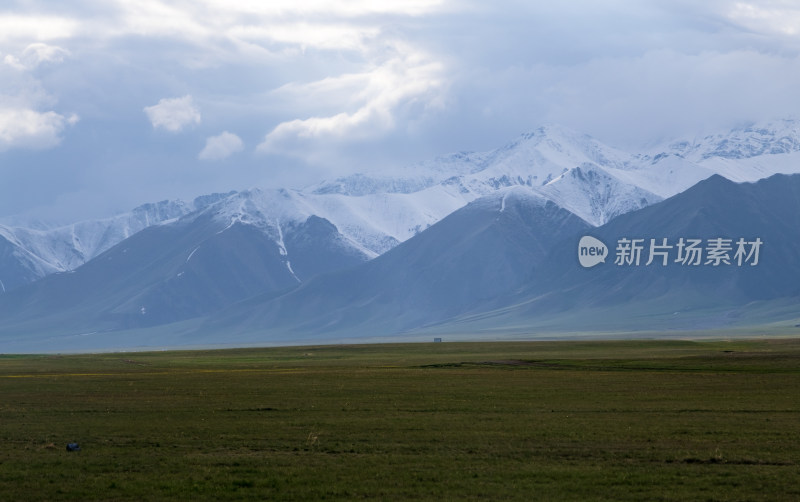 新疆天山蓝天白云下的草原雪山风光