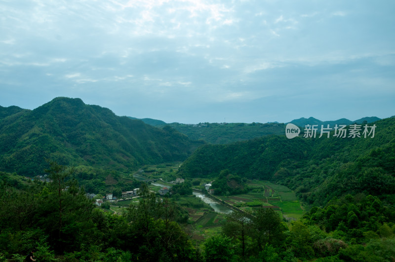 山中的自然风景