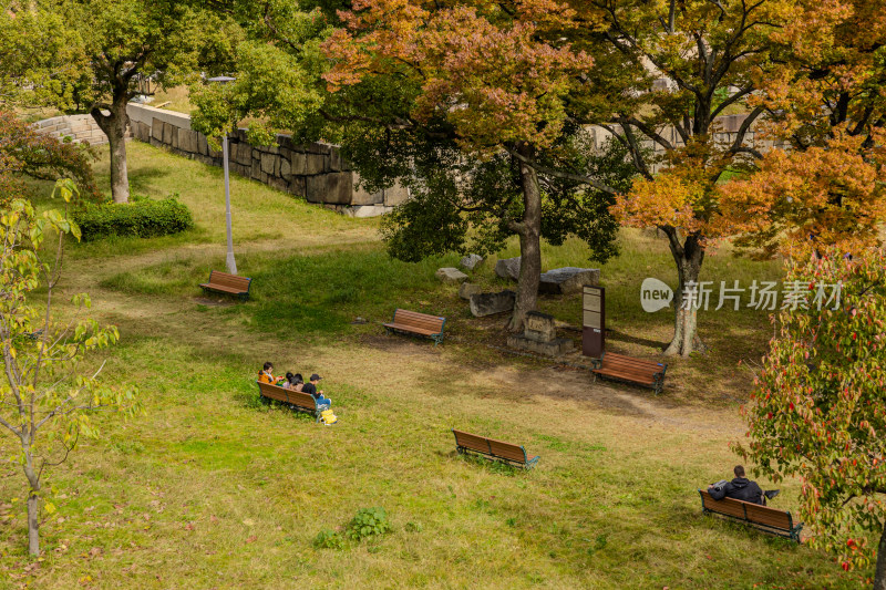 大阪城公园里的大树和长椅