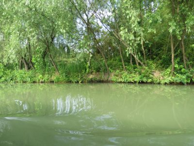 杭州西溪湿地旅游风景