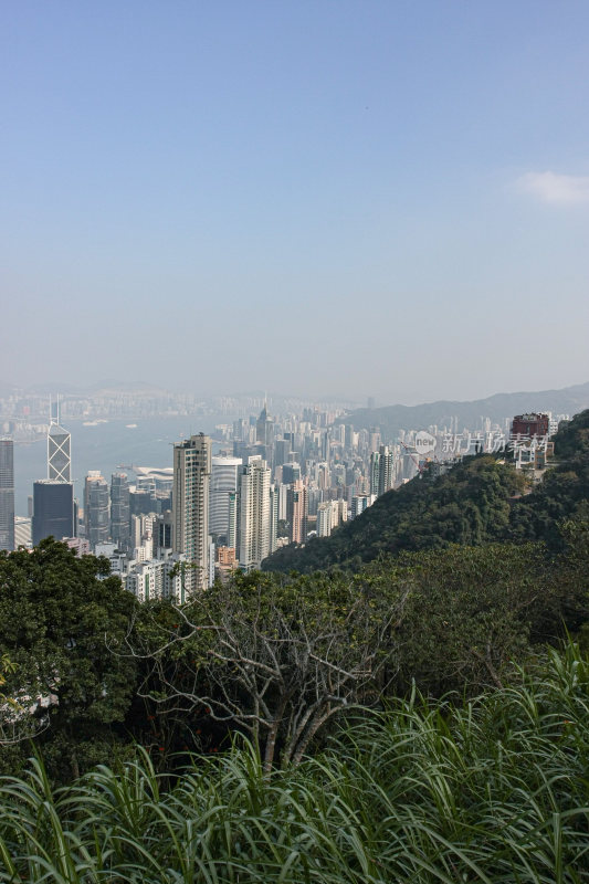 香港太平山全景