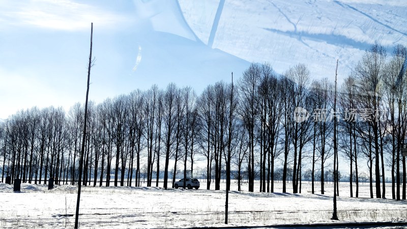 雪后空旷田野中的树木林带景象