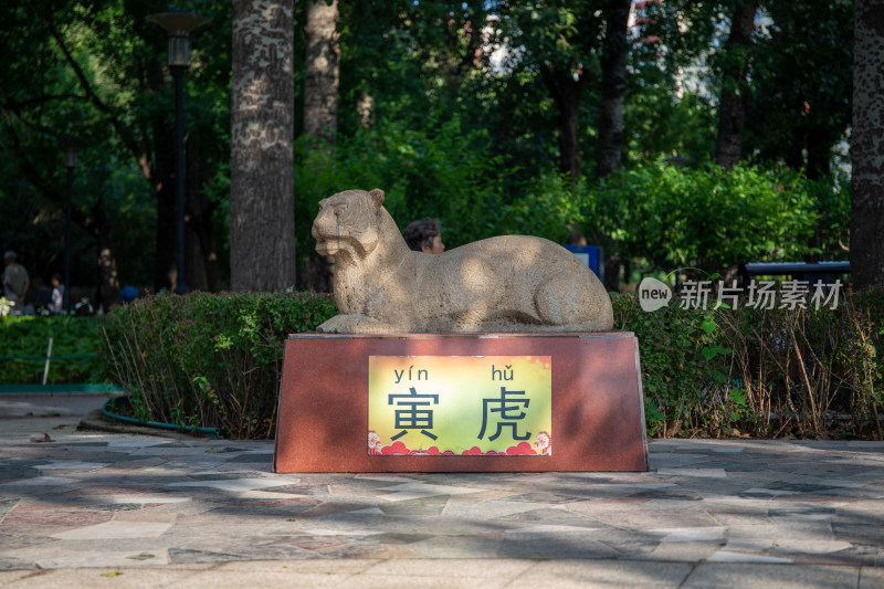 北京红领巾公园