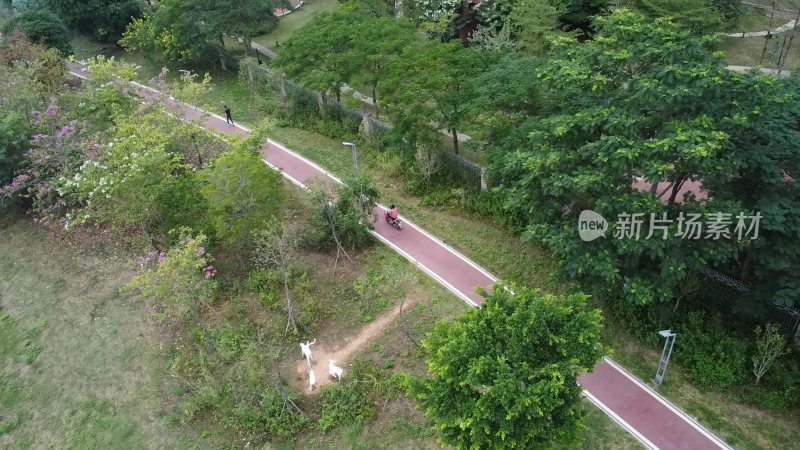 广东东莞：清溪河碧道