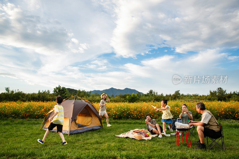 欢乐家庭在郊外野餐